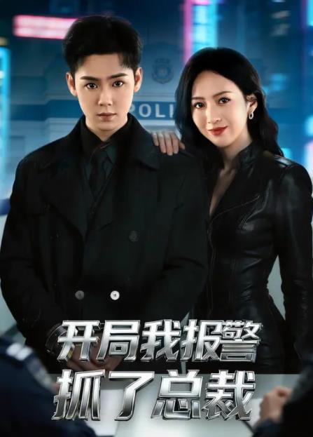 开局我报警抓了总裁(2026)海报