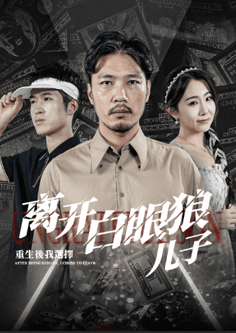 重生后,我选择离开白眼狼儿子(2024)海报