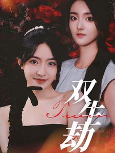 双生劫(2024)海报
