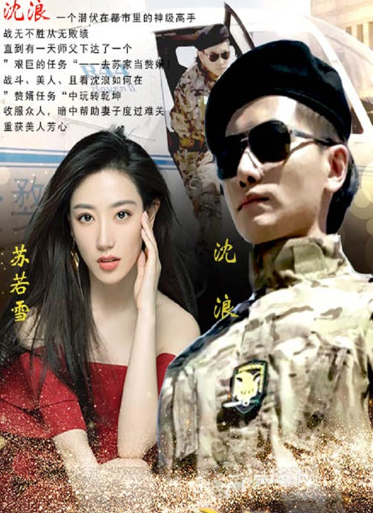 神級龍衛短劇(2023)海報