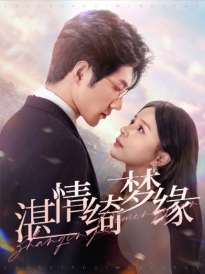 湛情琦梦缘(2025)海报