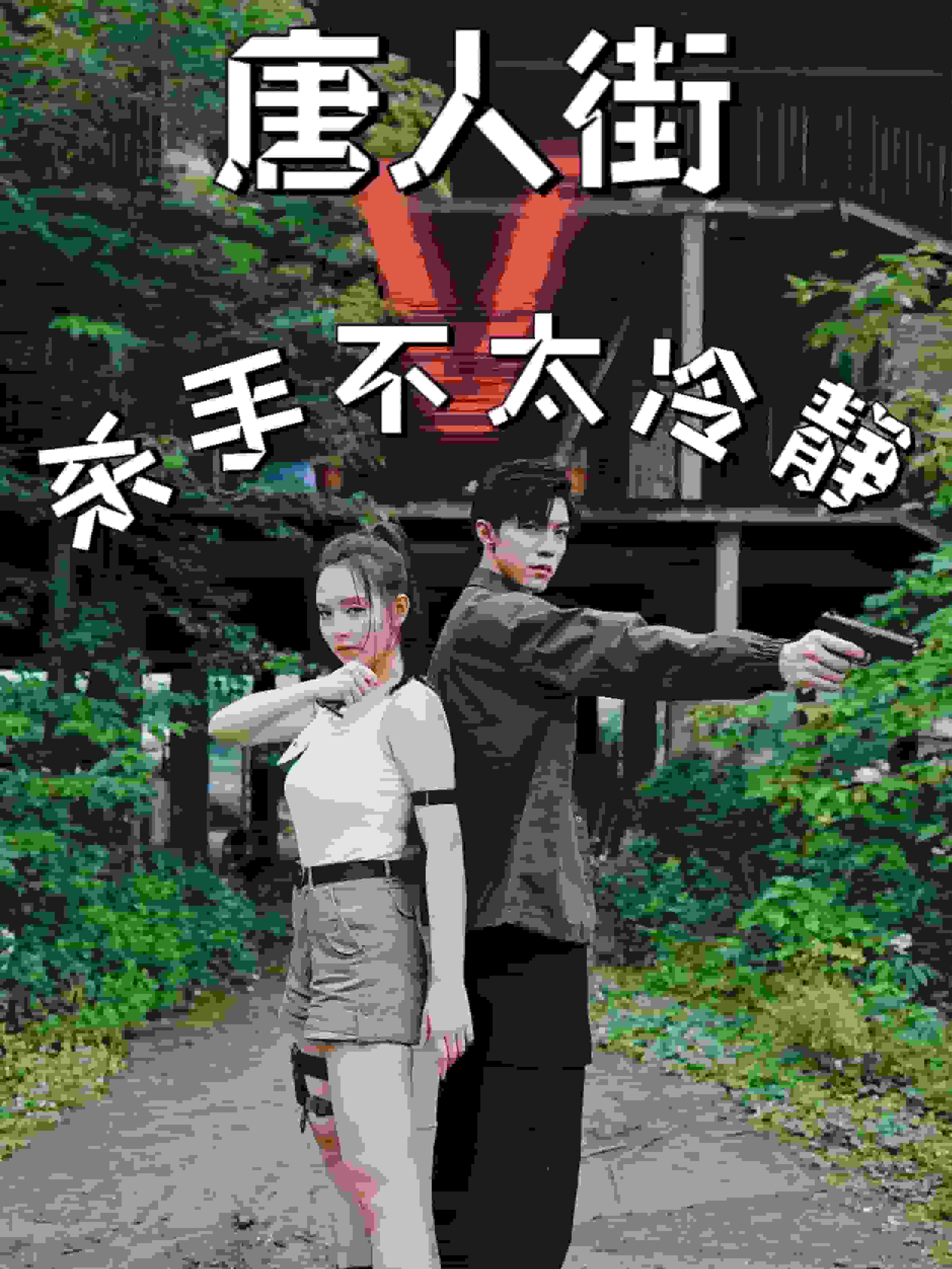 唐人街杀手不太冷静(2024)海报