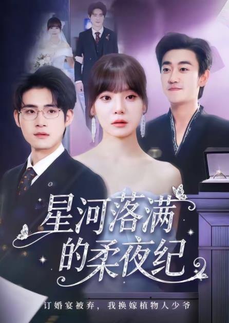 星河落满的柔夜纪(2026)海报