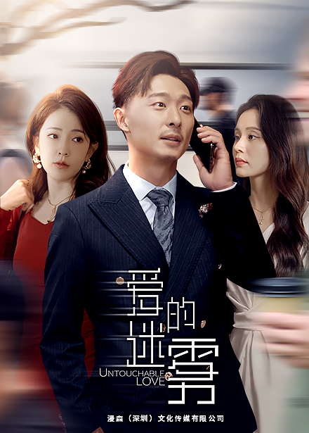 爱的迷雾(2024)海报