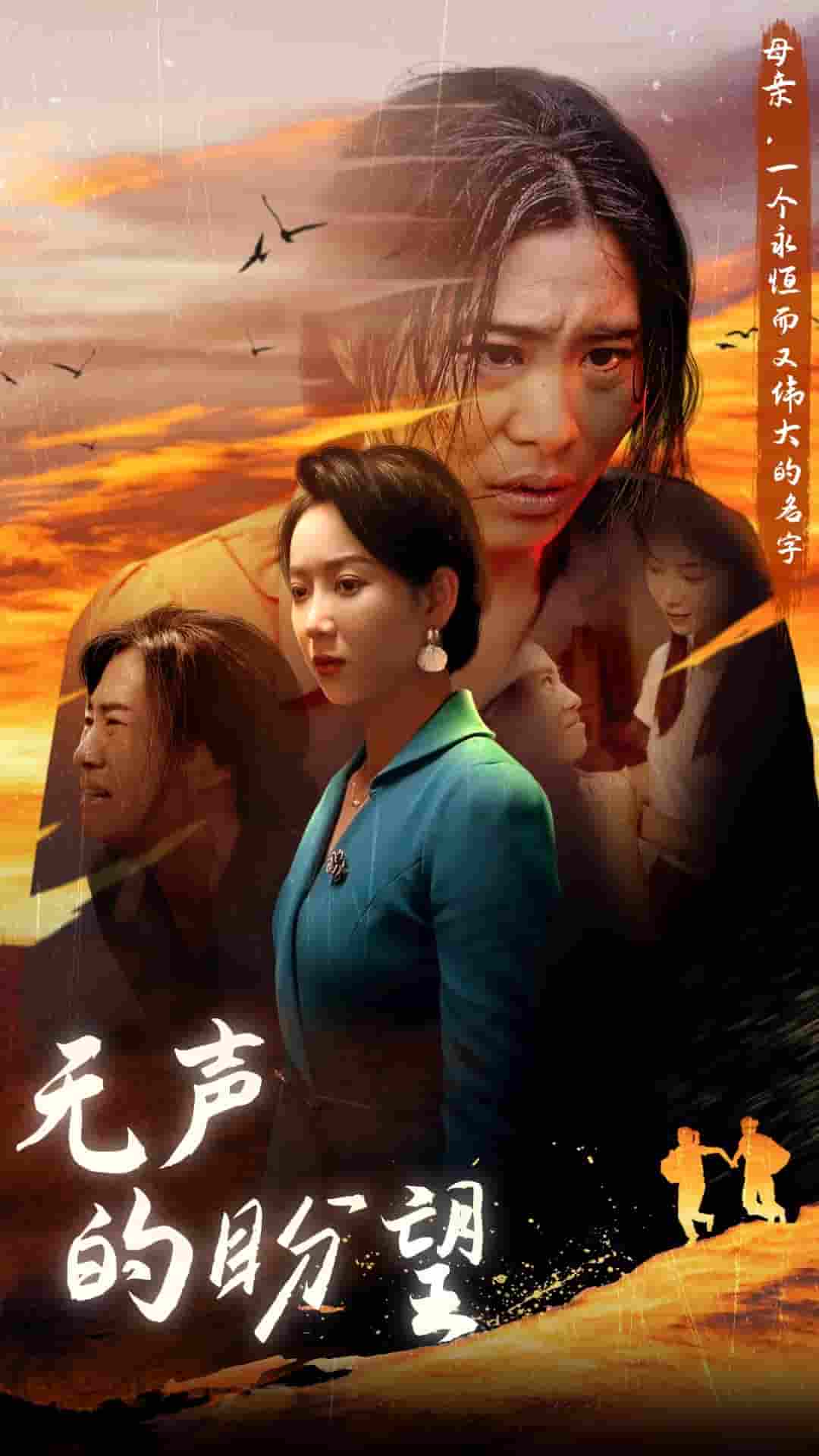 无声的盼望(2024)海报
