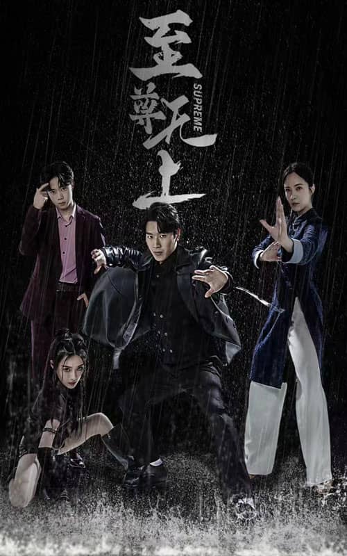 至尊无上短剧(2024)海报