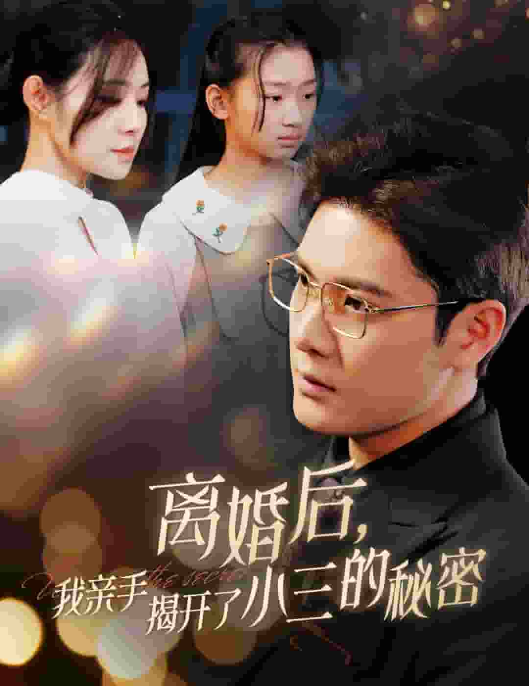 離婚後我親手揭開了小三的秘密(2025)海報