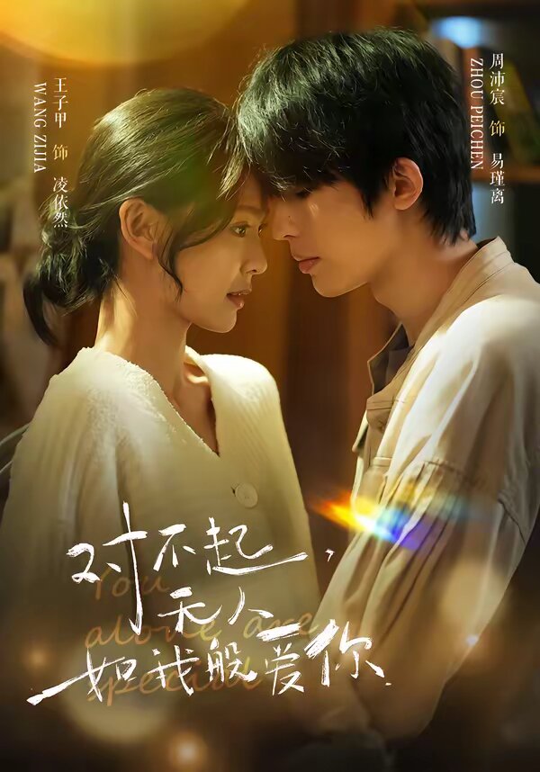 对不起,无人如我般爱你(2026)海报