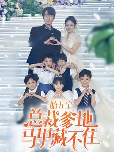 一胎五宝总裁爹地马甲藏不住(2024)海报