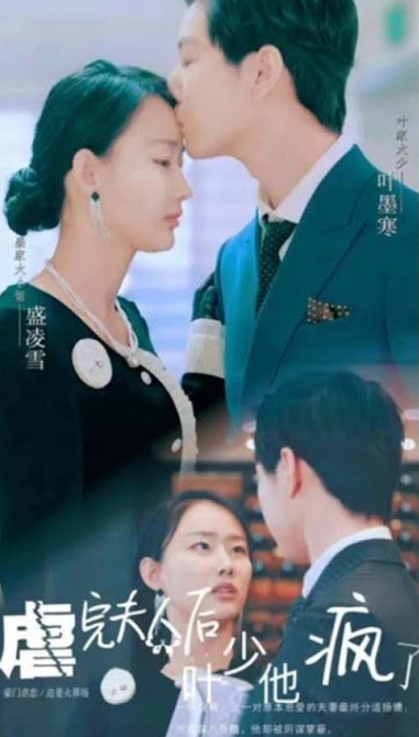 虐完夫人後葉少他瘋了(2023)海報