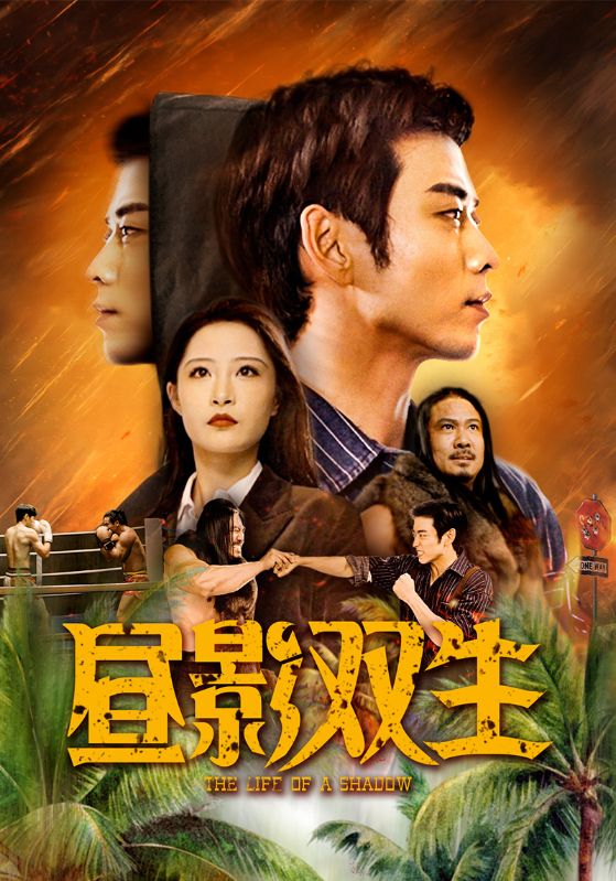 昼影双生(2025)海报