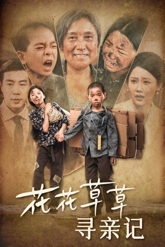 花花草草尋親記(2024)海報