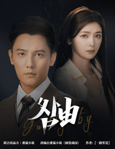 强势锁婚,九爷你出局了(2024)海报