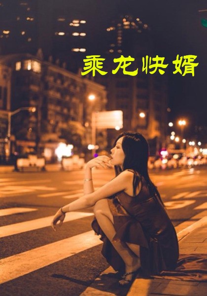 乘龙快婿(2025)海报