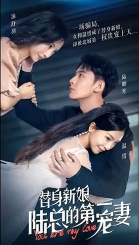 替身新娘:陸總的第一寵妻(2023)海報