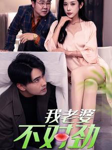 我老婆不对劲(2024)海报