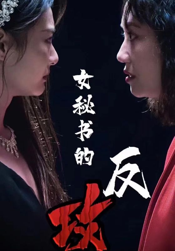 女秘書的反攻(2024)海報
