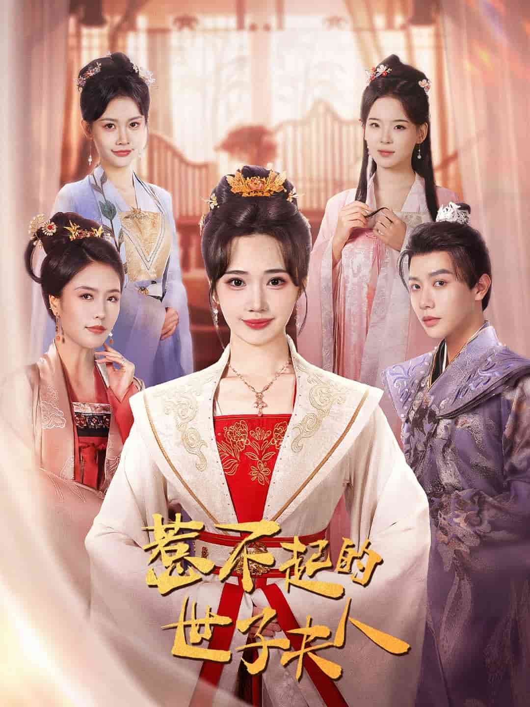 惹不起的世子夫人(2025)海報