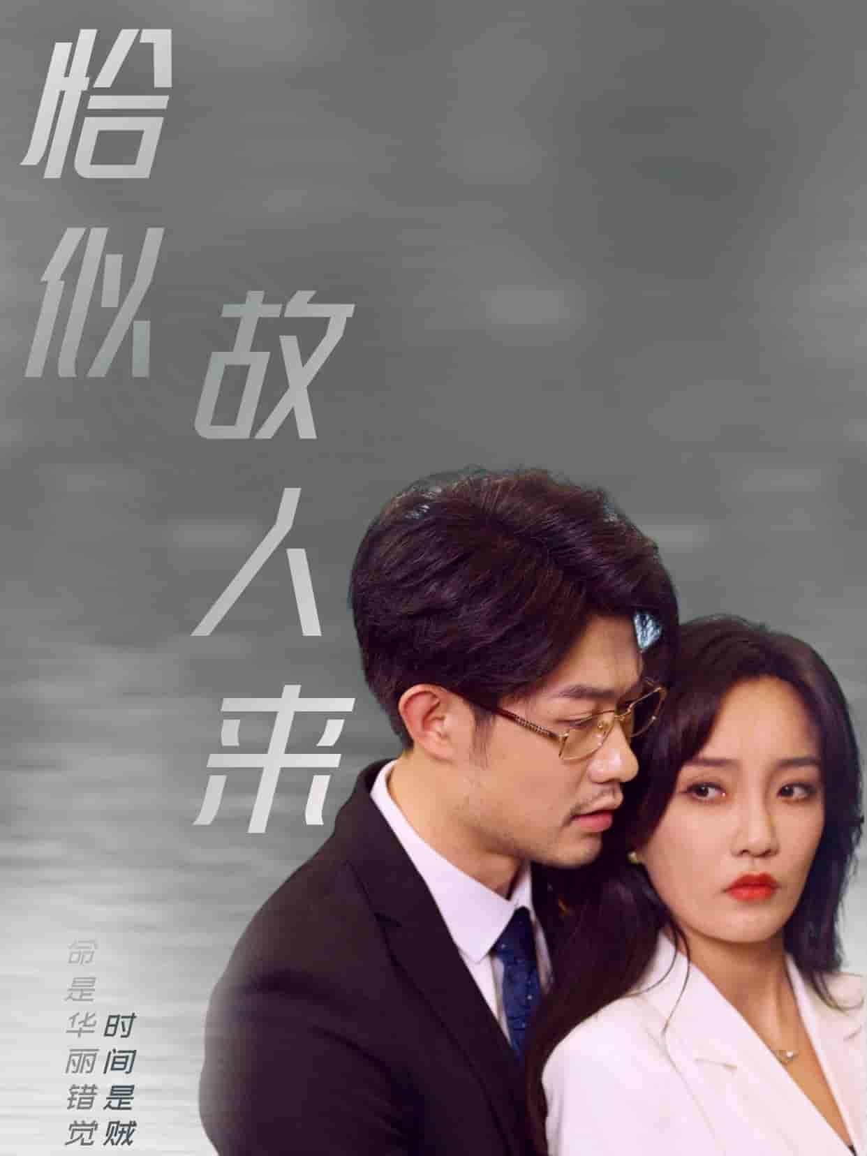 恰似故人来(2025)海报