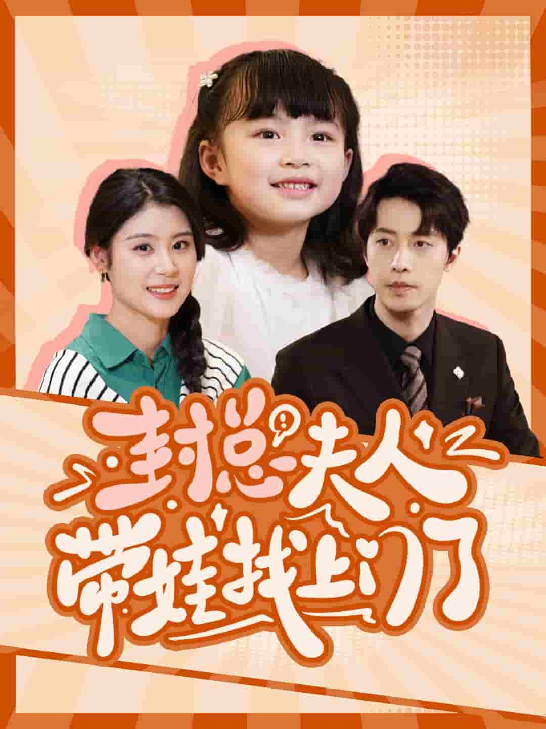 封總夫人帶娃找上門了(2024)海報