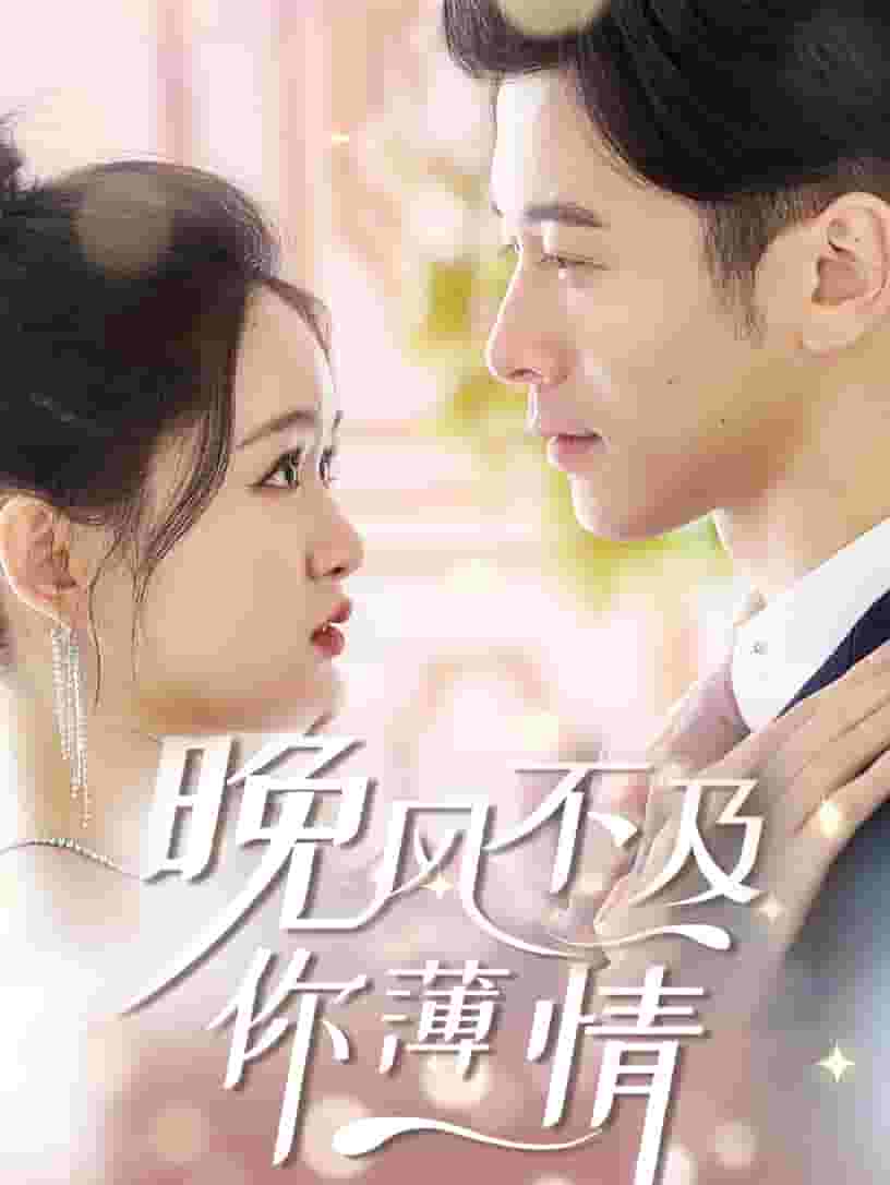 晚风不及你薄情(2025)海报