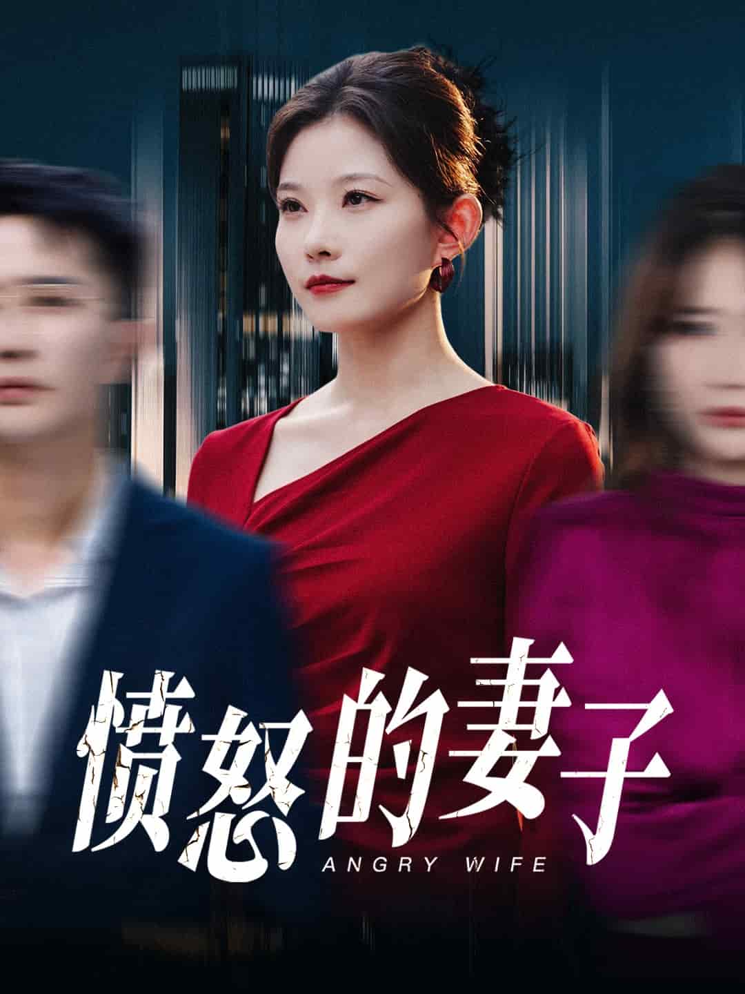 憤怒的妻子(2025)海報