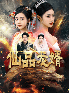 仙品龙婿(2025)海报