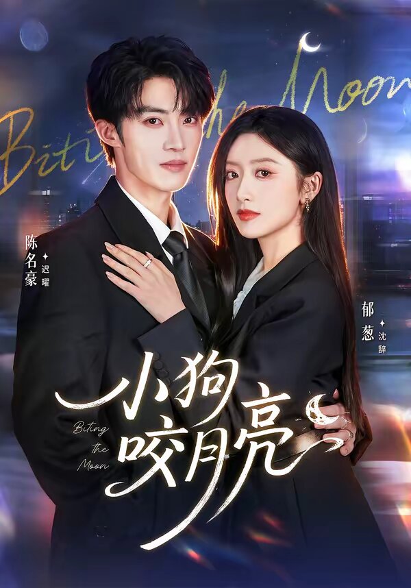 小狗咬月亮(2026)海报