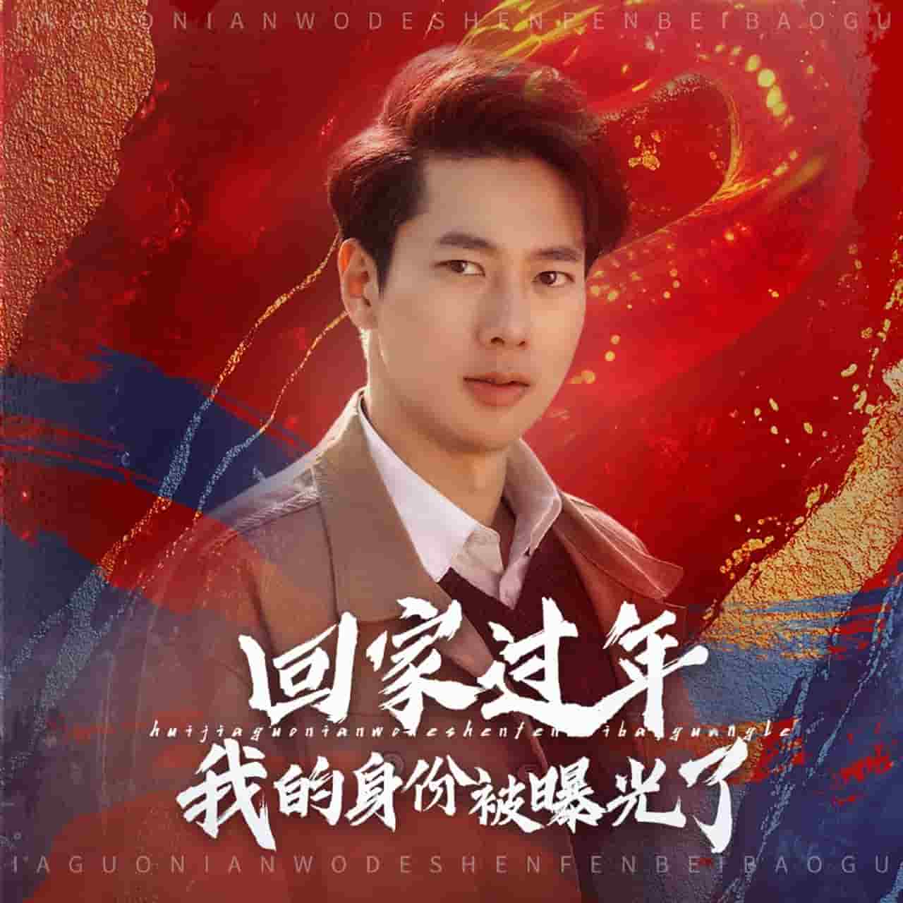 回家过年我的身份被曝光了(2025)海报