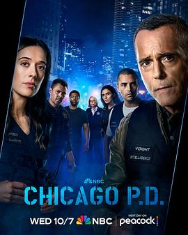 芝加哥警署第十四季(2014)海报