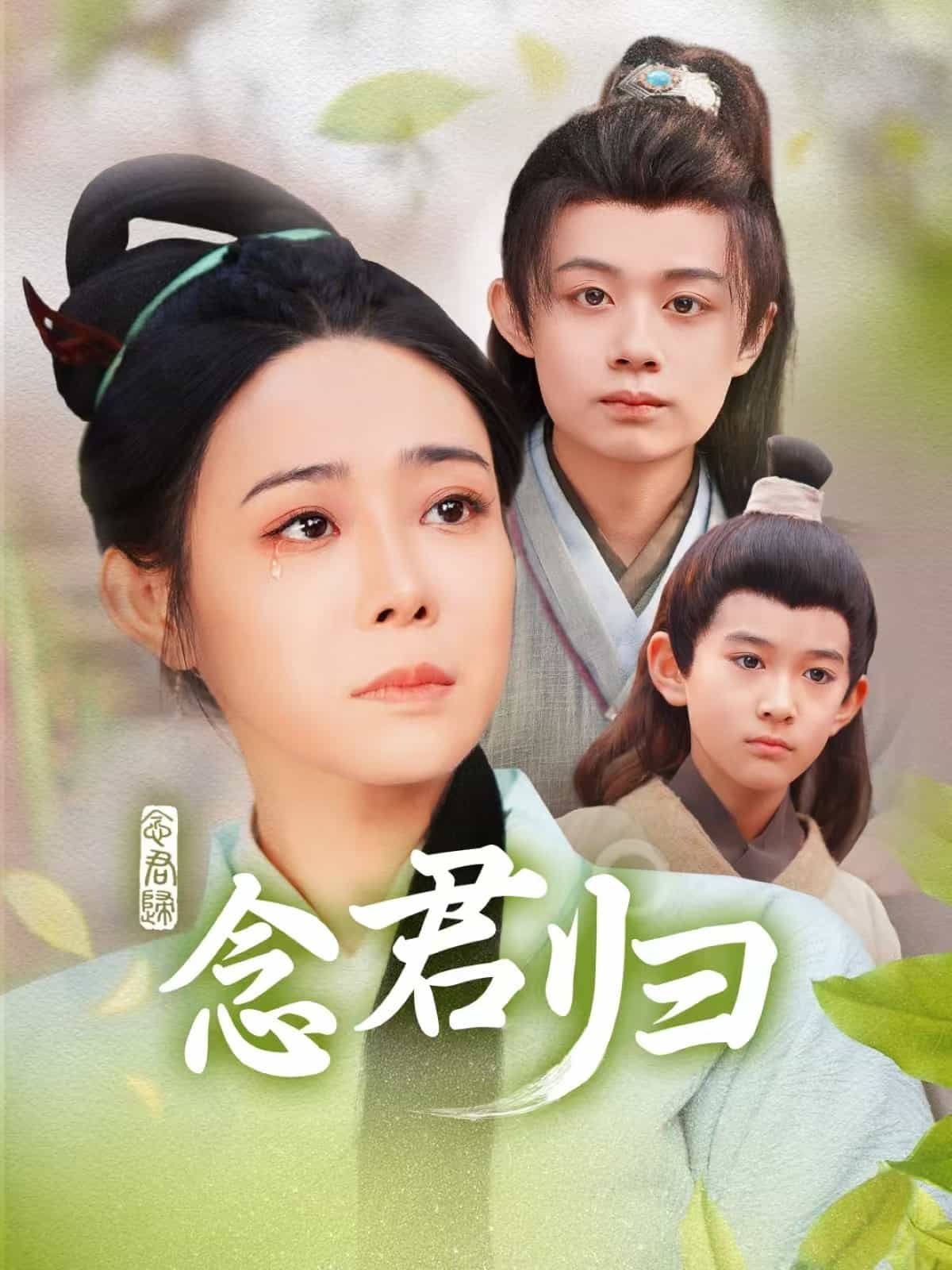念君归(2025)海报