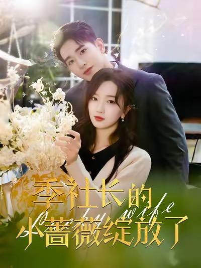 季社長的小薔薇綻放了(2025)海報