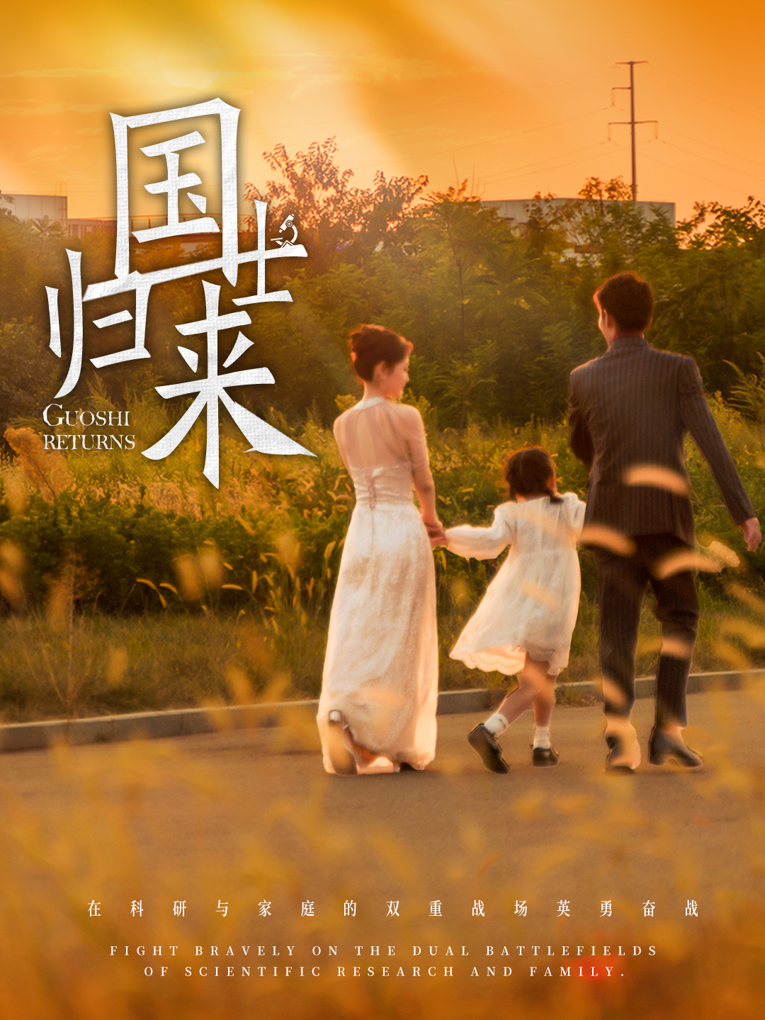 國士歸來(2025)海報