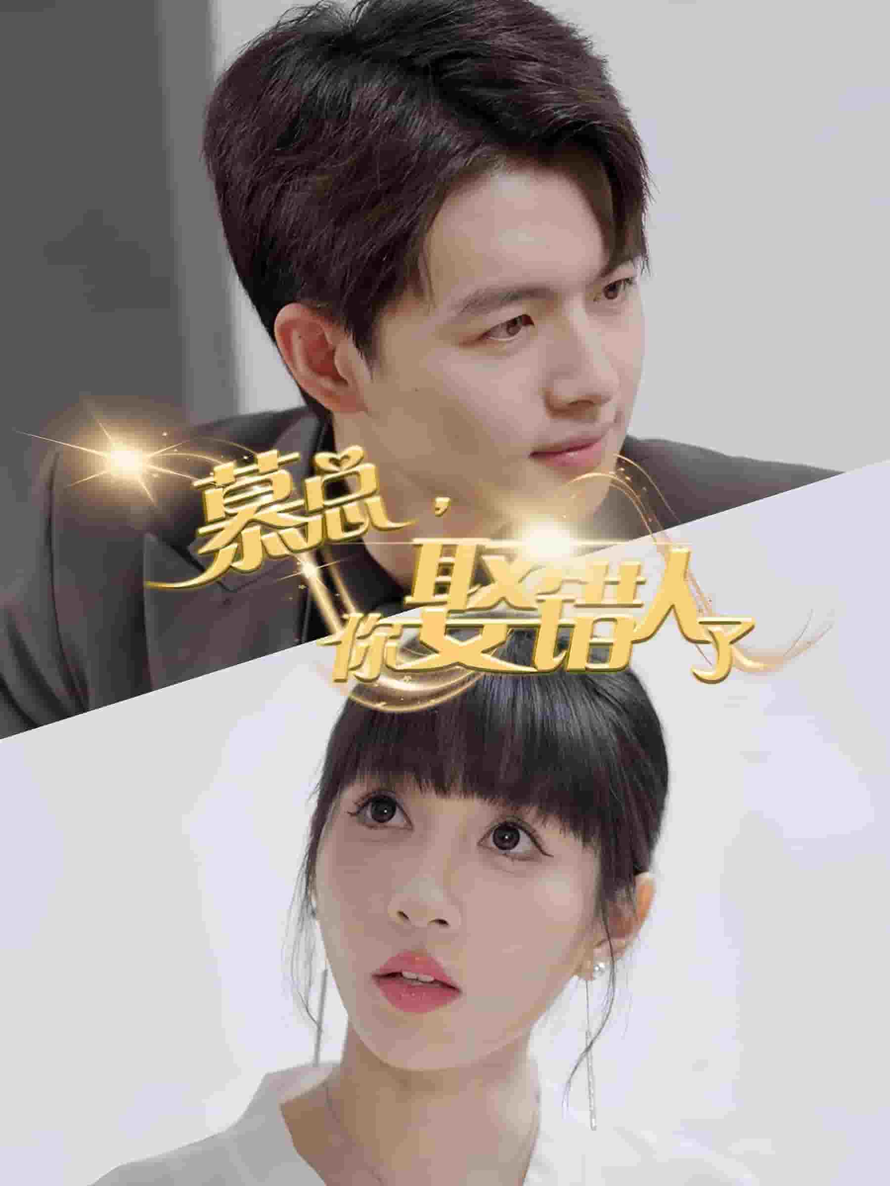 慕总你娶错人了(2024)海报