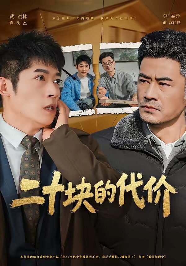 二十块的代价(2026)海报