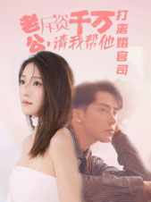 老公拆資千萬,請我幫他打離婚官司(2024)海報