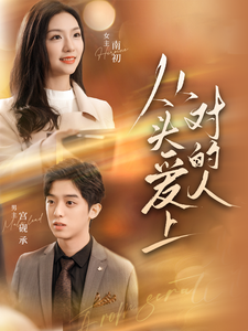 从头爱上对的人(2024)海报