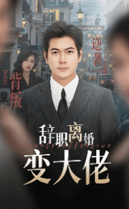 辞职离婚变大佬(2024)海报
