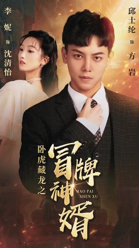 卧虎藏龙之冒牌神婿(2024)海报