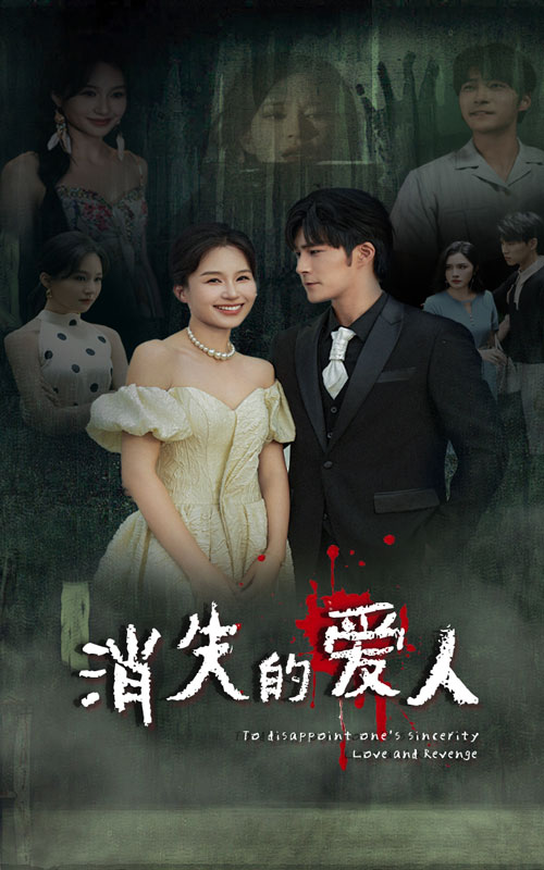 消失的爱人短剧(2024)海报