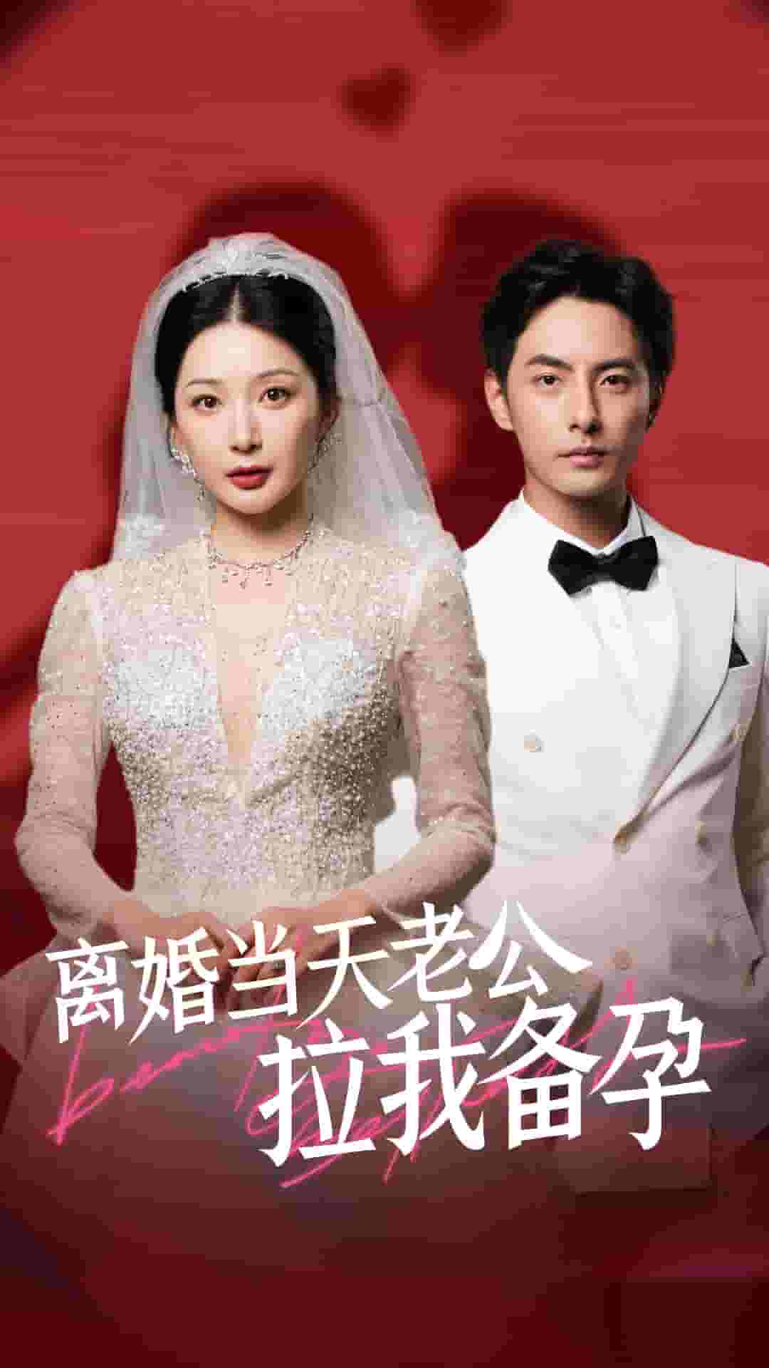 离婚当天老公拉我备孕(2024)海报