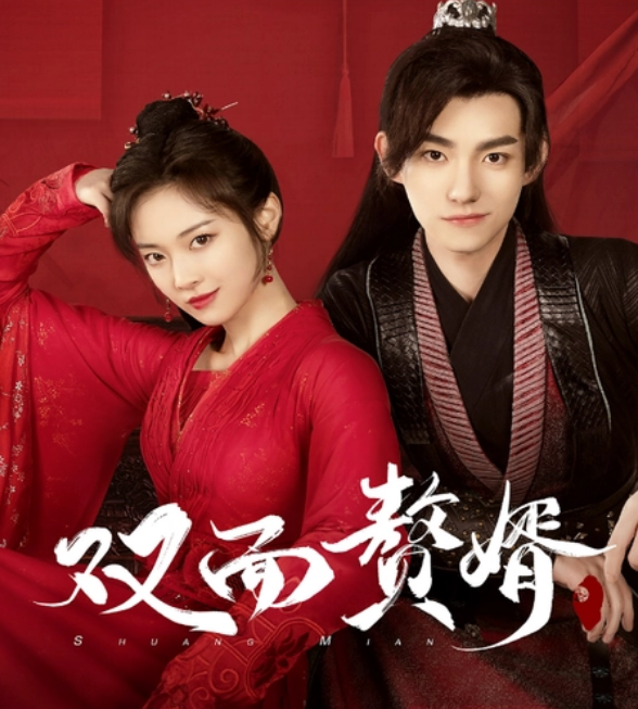 双面赘婿不好惹(2023)海报