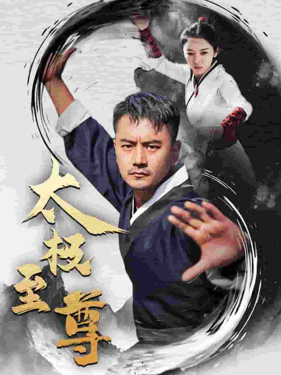 太極至尊(2024)海報