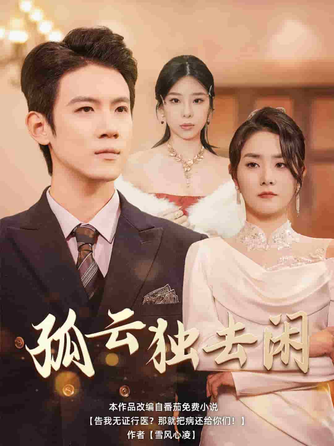 孤云独去闲(2025)海报