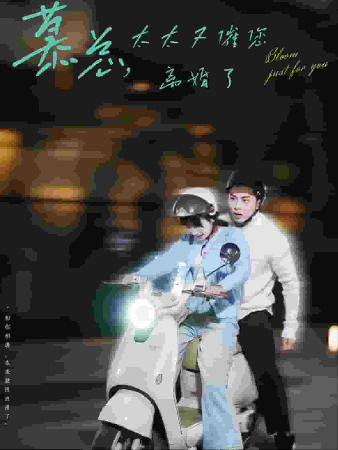 慕總太太又催您離婚了(2024)海報