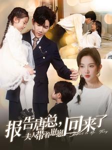 报告唐总夫人带着崽崽回来了(2025)海报