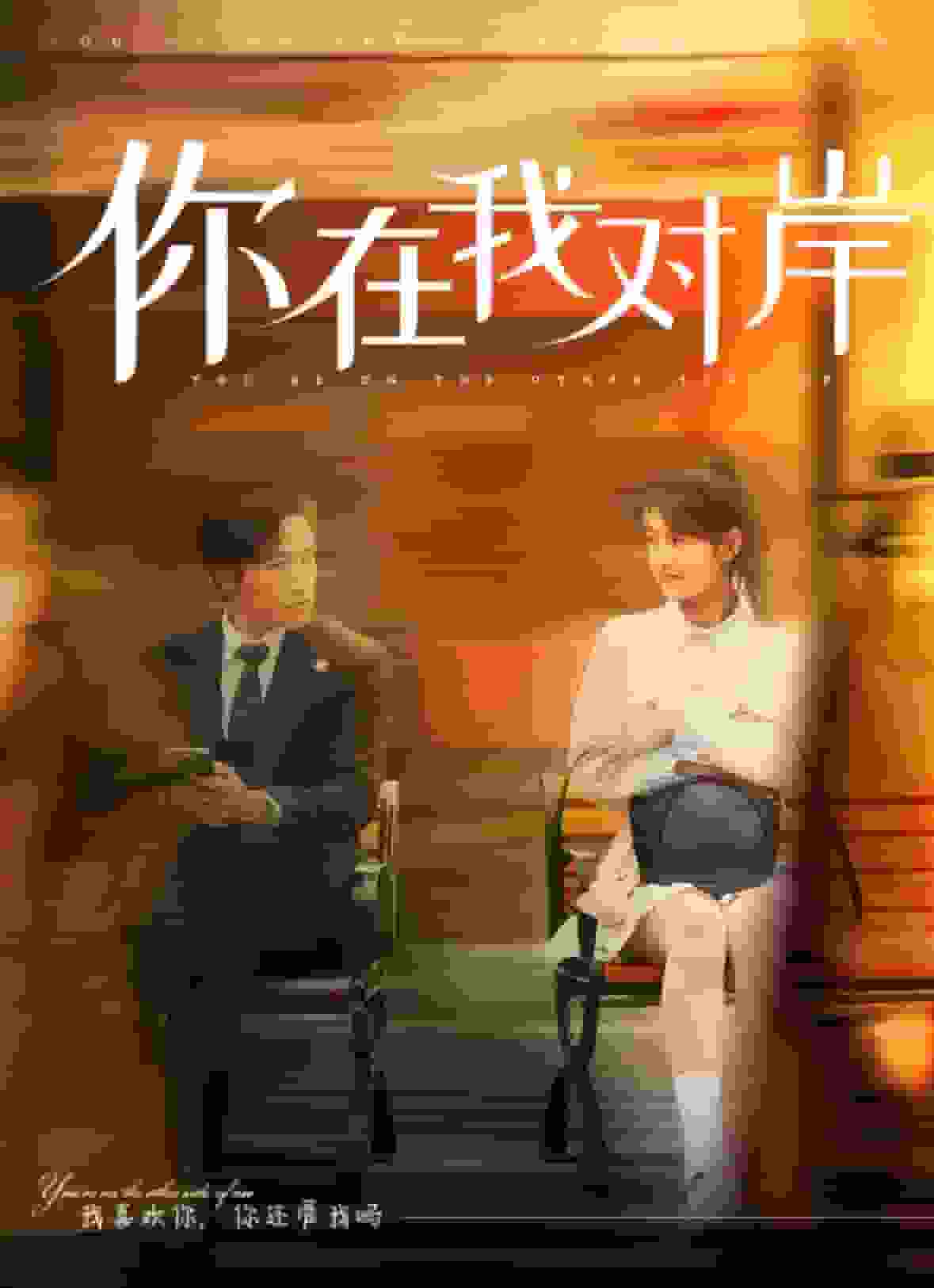 你在我對岸(2024)海報