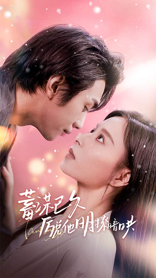 蓄谋已久历总他明撩暗哄(2024)海报