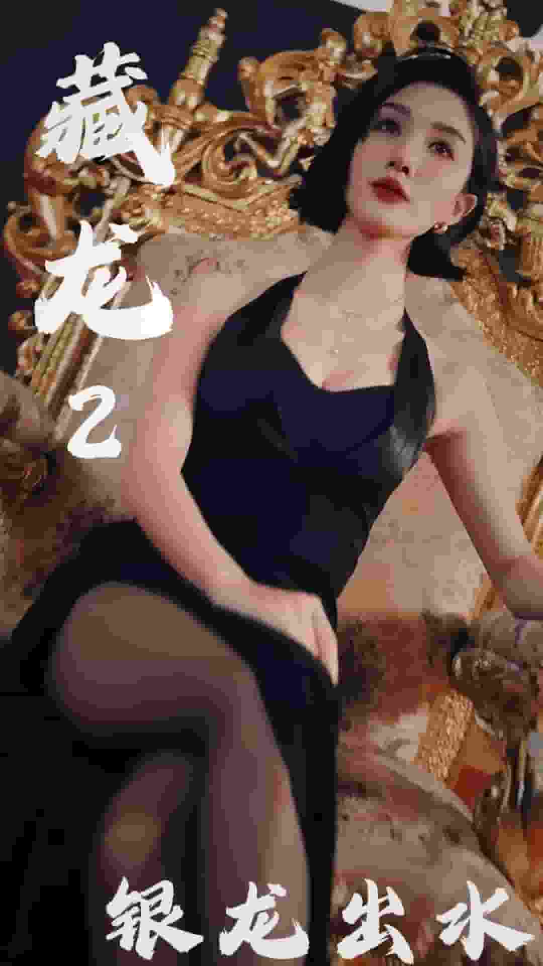藏龙2银龙出水(2025)海报