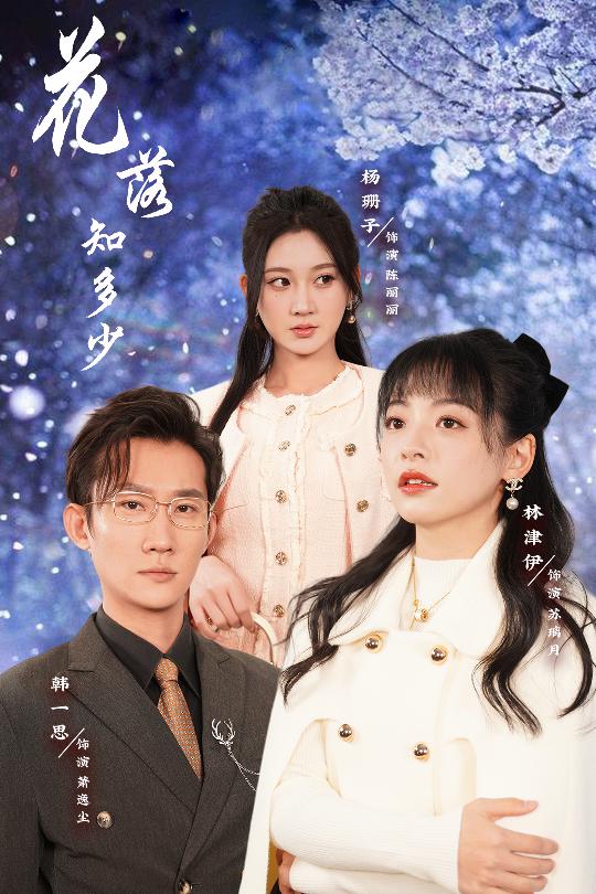 哥哥逆光而来(2025)海报